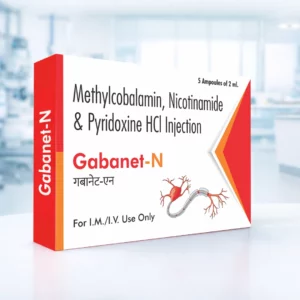 GABANET-N